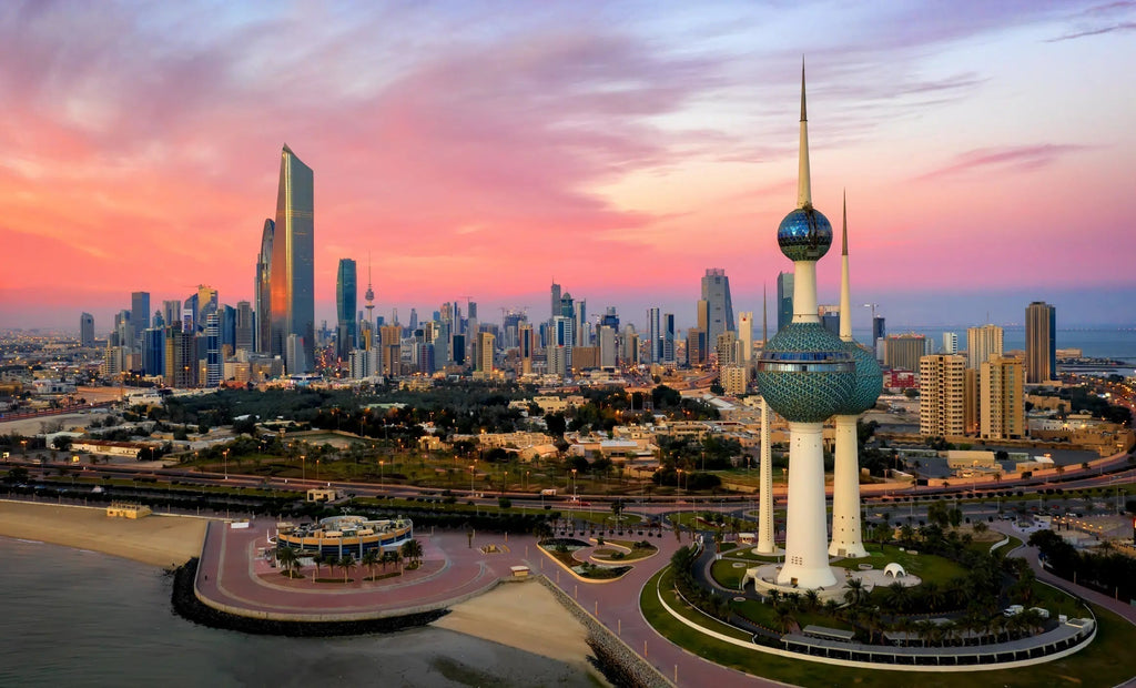 شراء سويكه فوكس و اكياس النيكوتين فيلو في الكويت Buy in Kuwait